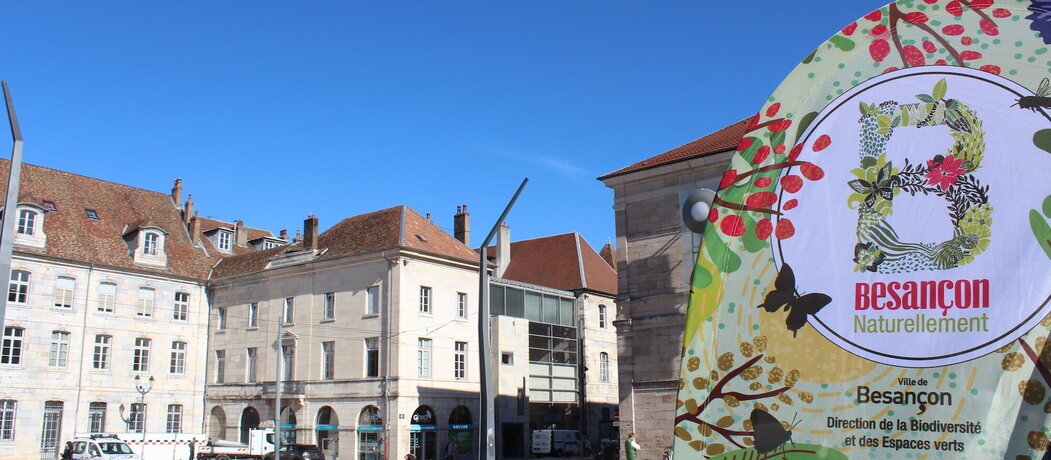 Place de la révolution : le minéral bientôt détrôné