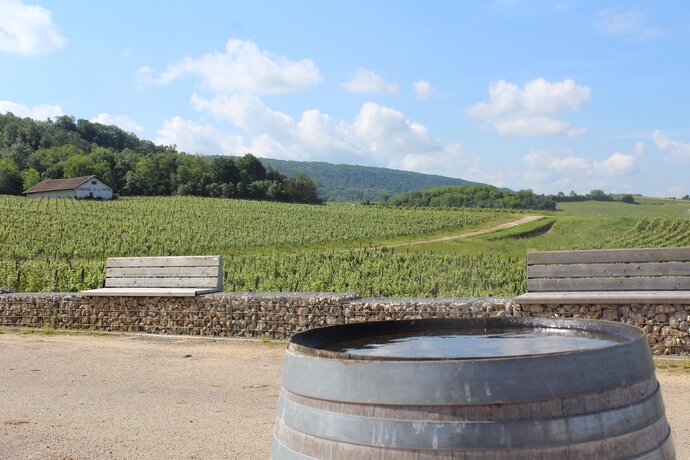 Photo du vignoble