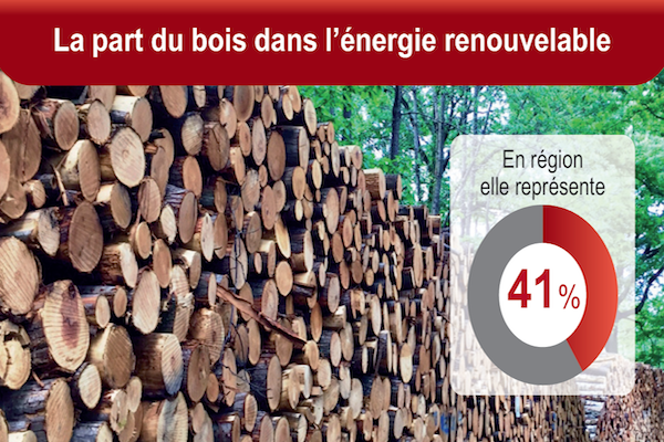 Le bois est-il une énergie renouvelable ?