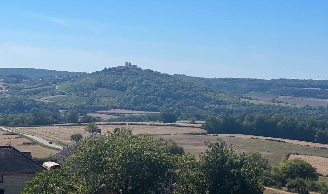 Les vignerons de Vézelay récoltent l'AOP