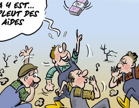 Le regard de Faro du 7 septembre 2026