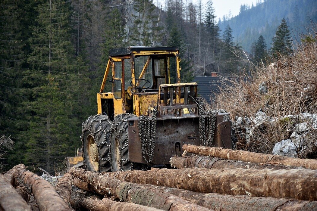 Photo d'un Engin forestier en action dans une exploitation de bois