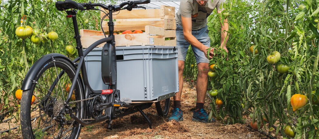 Photo de l'activité de l'entreprise Douze cycles