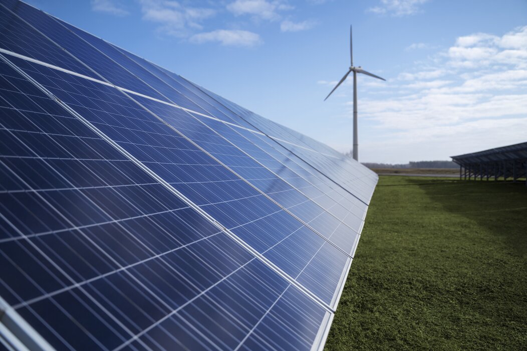 Photo de panneaux photovoltaïques au sol