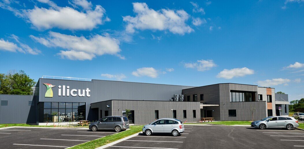 Ilicut