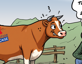 Le regard de Faro du 14 novembre 2025