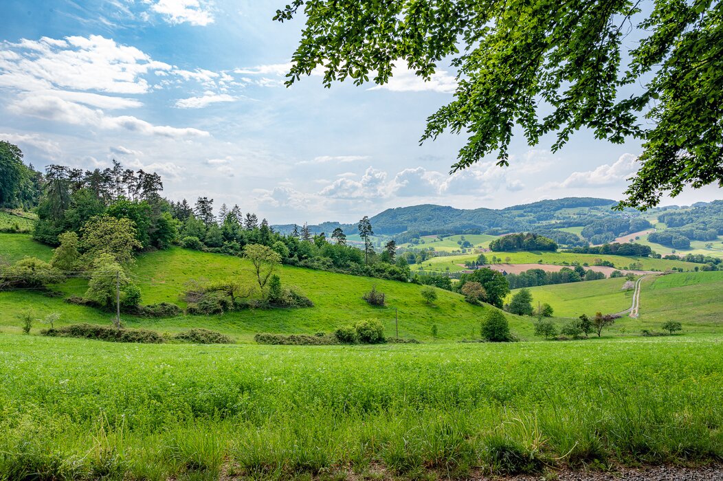 Ruralité