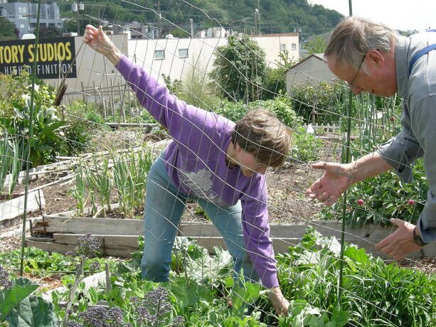 Photo d'un jardin partagé