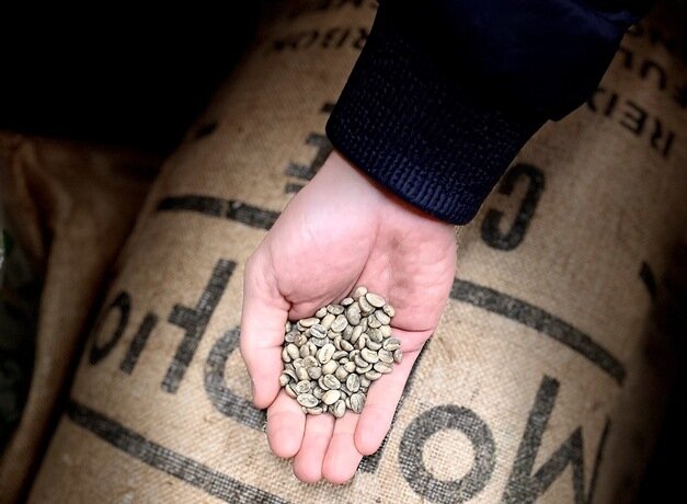 Photo des grains de café torréfiés