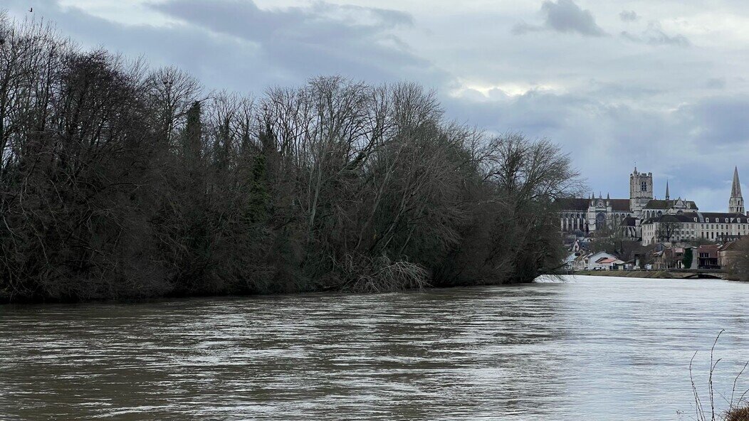 La zone humide située sur la rive droite de l'Yonne, au nord d'Auxerre.