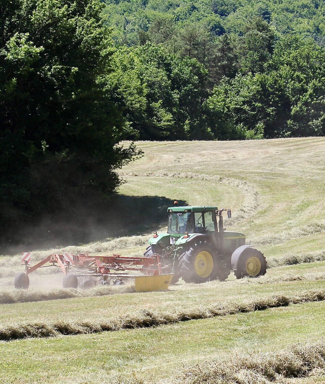 Photo de la récolte de foins